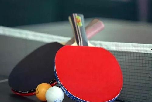 网红乒乓球摆放位置,创意摆放位置大揭秘