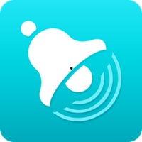 网红铃声花蝴蝶,网红铃声背后的魅力与流行趋势