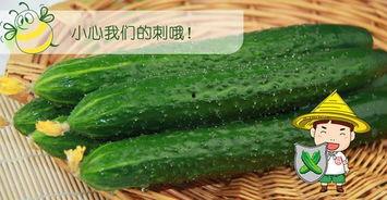 深官吃瓜,一场吃瓜群众的狂欢盛宴