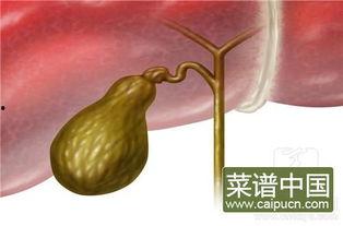 胆切除吃拉瓜,营养恢复与美味兼顾