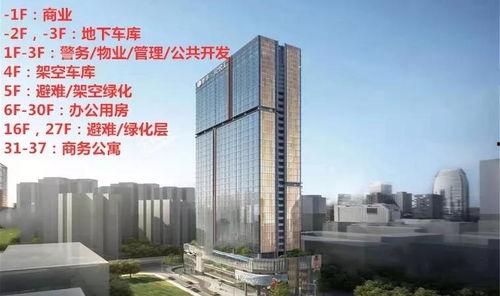 深圳罗湖今年的头条新闻,聚焦2023年度十大焦点新闻