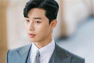 明星成功是,揭秘璀璨星途背后的故事