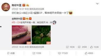 卓伟爆料胡歌袁姗姗视频,娱乐圈再掀风波