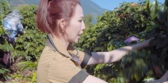 女明星在干活视频,镜头下的真实风采