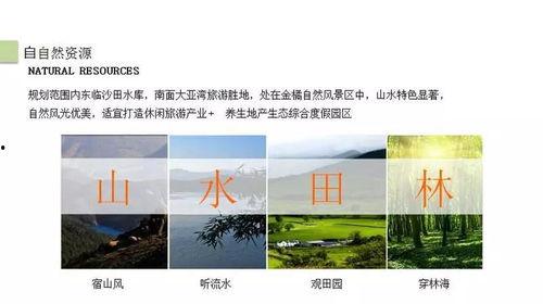 惠州今日大岭山头条,聚焦发展新动态，共绘美好未来画卷