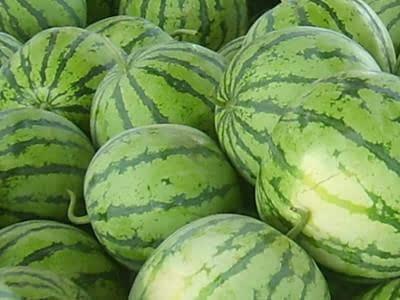 吃瓜最漂亮,揭秘最漂亮吃瓜技巧