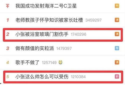 开封头条小张爆料新闻视频,小张独家爆料，最新新闻视频揭秘