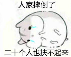 仓鼠吃瓜的表情,仓鼠表情大盘点