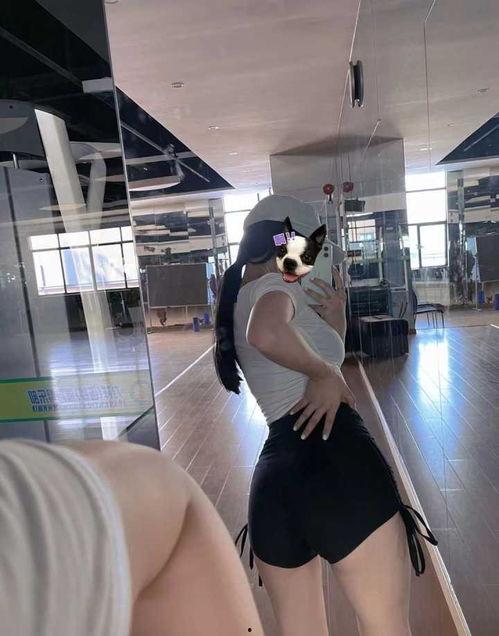 明星都是怎样保持身材,揭秘明星保持完美身材的秘诀