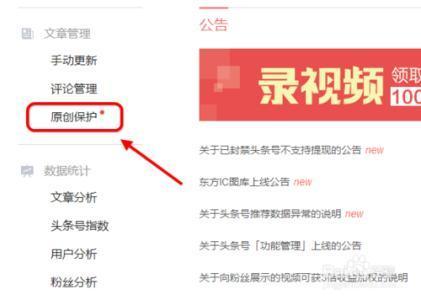 头条号作者的关注在哪里