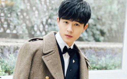 什么宗泽明星,璀璨星途，闪耀人生